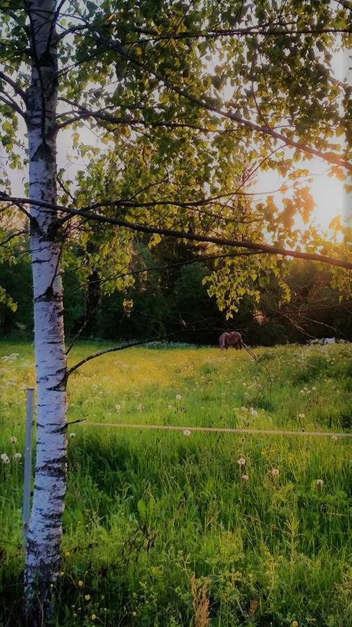 Tuhannen Tarinan Talo Kannuskoski Exteriér fotografie